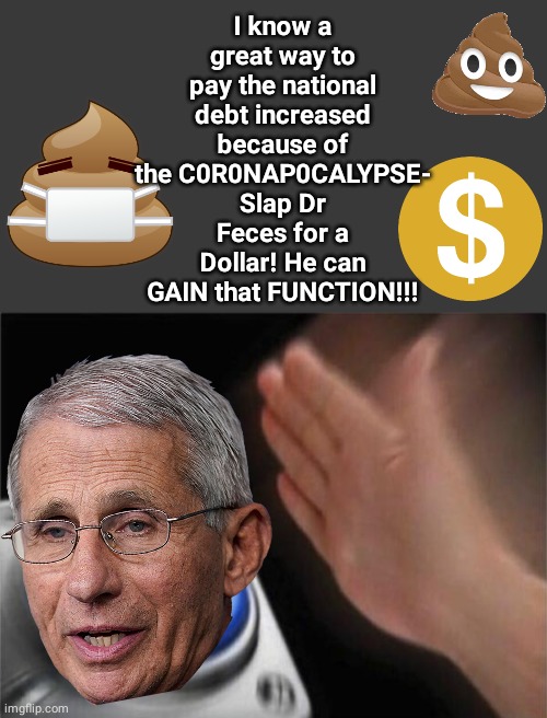 Slap Dr Feces | I know a great way to pay the national debt increased because of the C0R0NAP0CALYPSE- Slap Dr Feces for a Dollar! He can GAIN that FUNCTION!!! | image tagged in blank no watermark,memes,blank nut button | made w/ Imgflip meme maker