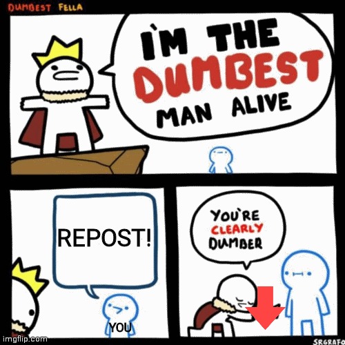 I'm the dumbest man alive | REPOST! YOU | image tagged in i'm the dumbest man alive | made w/ Imgflip meme maker