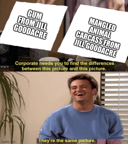Jill Goodacre | GUM FROM JILL GOODACRE; MANGLED ANIMAL CARCASS FROM JILL GOODACRE | image tagged in corporate needs you to find the differences,friends,chandler bing,gum,the office,they're the same picture | made w/ Imgflip meme maker