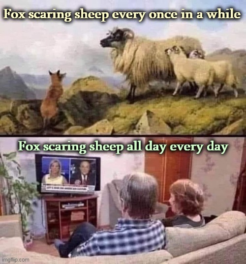 Boo | Fox scaring sheep every once in a while; Fox scaring sheep all day every day | image tagged in fox,frightened,sheeple | made w/ Imgflip meme maker