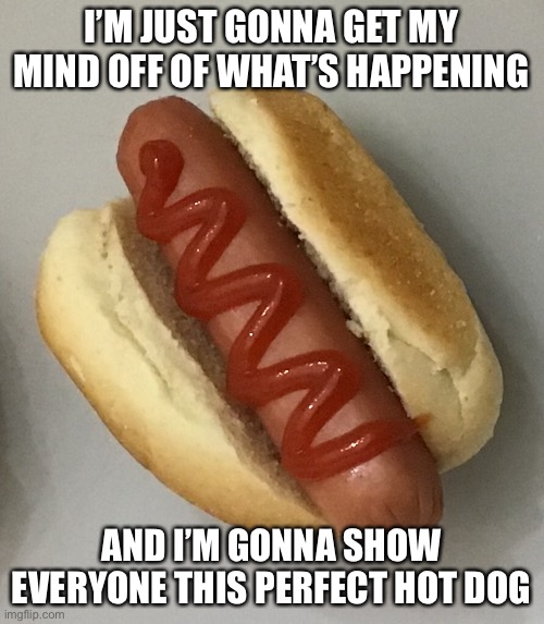 :’> | I’M JUST GONNA GET MY MIND OFF OF WHAT’S HAPPENING; AND I’M GONNA SHOW EVERYONE THIS PERFECT HOT DOG | made w/ Imgflip meme maker