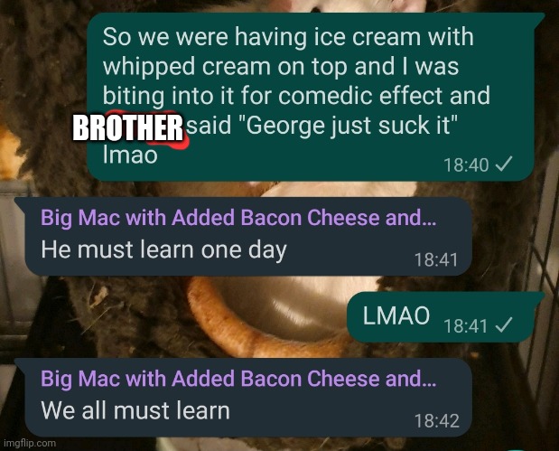 Lmaoo | BROTHER | made w/ Imgflip meme maker