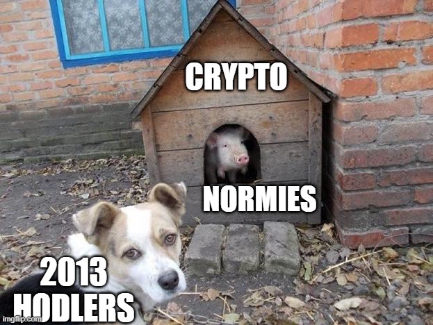 Crypto scene right now |  CRYPTO; NORMIES; 2013 HODLERS | image tagged in crypto,hodl,btc,doge,cryptonoobs | made w/ Imgflip meme maker