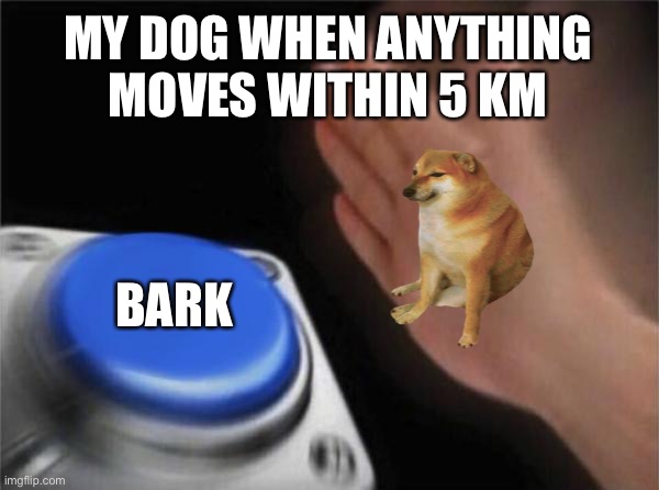 Blank Nut Button | MY DOG WHEN ANYTHING MOVES WITHIN 5 KM; BARK | image tagged in memes,blank nut button | made w/ Imgflip meme maker