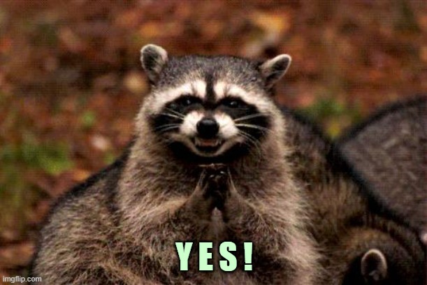 ◄► Reaction: Raccoon — "Yes!" | Y E S ! | image tagged in evil plotting raccoon,yes,comment,reaction | made w/ Imgflip meme maker