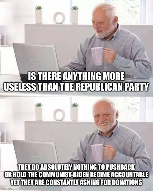 Hide the Pain Harold | IS THERE ANYTHING MORE USELESS THAN THE REPUBLICAN PARTY; THEY DO ABSOLUTELY NOTHING TO PUSHBACK OR HOLD THE COMMUNIST-BIDEN REGIME ACCOUNTABLE YET THEY ARE CONSTANTLY ASKING FOR DONATIONS | image tagged in memes,hide the pain harold | made w/ Imgflip meme maker