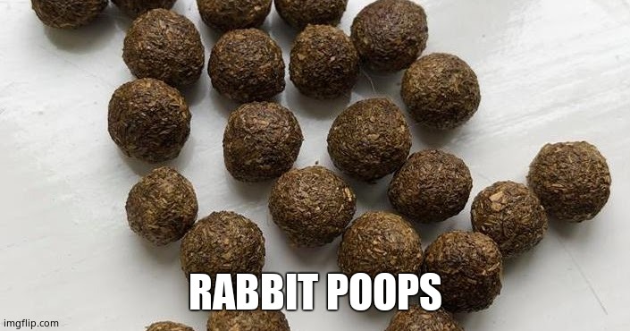 RABBIT POOPS | made w/ Imgflip meme maker