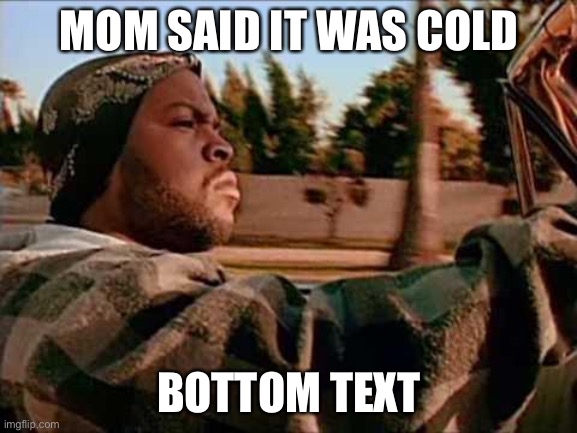 Today Was A Good Day | MOM SAID IT WAS COLD; BOTTOM TEXT | image tagged in memes,today was a good day | made w/ Imgflip meme maker