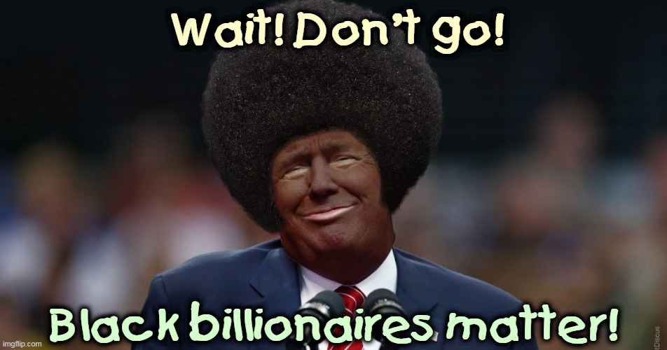 The room emptied all at once. | Wait! Don't go! Black billionaires matter! | image tagged in black,trump,no,friends,blm | made w/ Imgflip meme maker