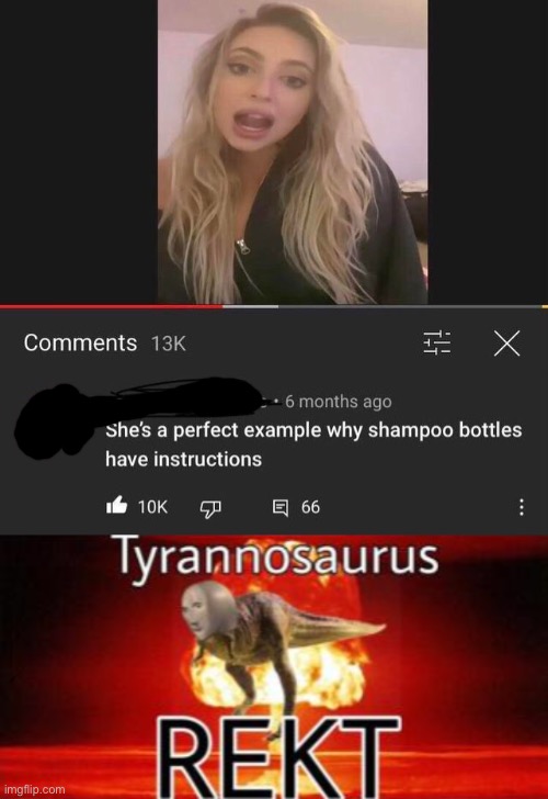 dang lol | image tagged in tyrannosaurus rekt,rare insults,funny,shampoo | made w/ Imgflip meme maker