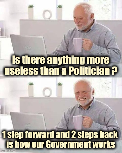 Hide the Pain Harold Meme | Is there anything more useless than a Politician ? 1 step forward and 2 steps back 
is how our Government works | image tagged in memes,hide the pain harold | made w/ Imgflip meme maker