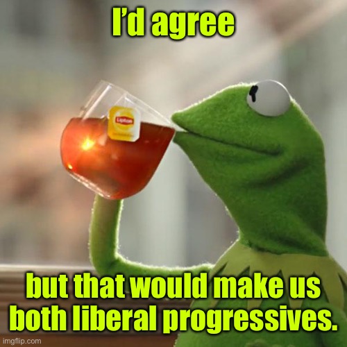 But That's None Of My Business Meme | I’d agree but that would make us both liberal progressives. | image tagged in memes,but that's none of my business,kermit the frog | made w/ Imgflip meme maker