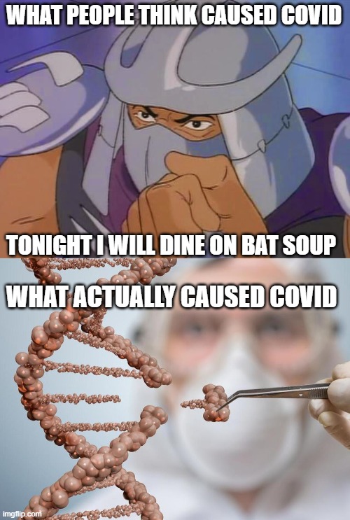 Shredder Soup | WHAT PEOPLE THINK CAUSED COVID; TONIGHT I WILL DINE ON BAT SOUP; WHAT ACTUALLY CAUSED COVID | image tagged in 90s cartoon shredder,genetics,covid-19,coronavirus | made w/ Imgflip meme maker