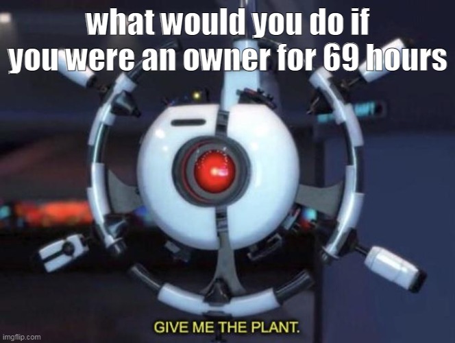 banz 420 peeps!1!1! | what would you do if you were an owner for 69 hours | image tagged in give me the plant | made w/ Imgflip meme maker