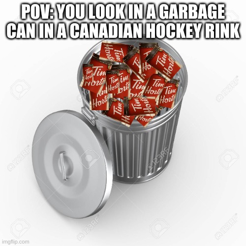 canadian hockey rink | POV: YOU LOOK IN A GARBAGE CAN IN A CANADIAN HOCKEY RINK | image tagged in tim hortons,garbage,hockey,funny,memes | made w/ Imgflip meme maker