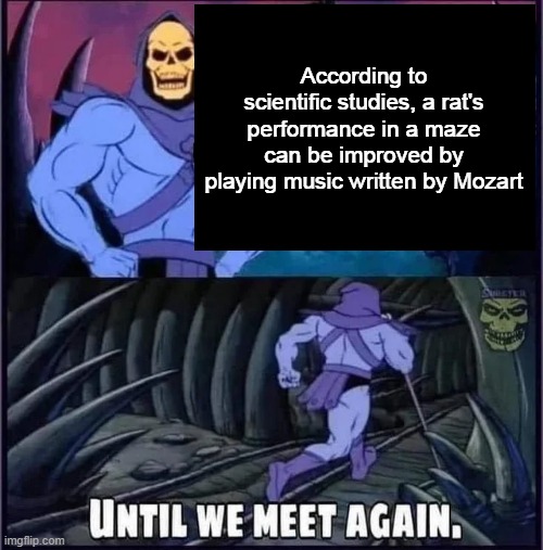 Until we meet again | According to scientific studies, a rat's performance in a maze can be improved by playing music written by Mozart | image tagged in until we meet again | made w/ Imgflip meme maker