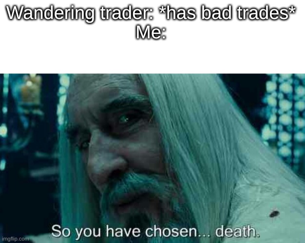 Wandering traders be like | Wandering trader: *has bad trades*
Me: | image tagged in so you have chosen death | made w/ Imgflip meme maker
