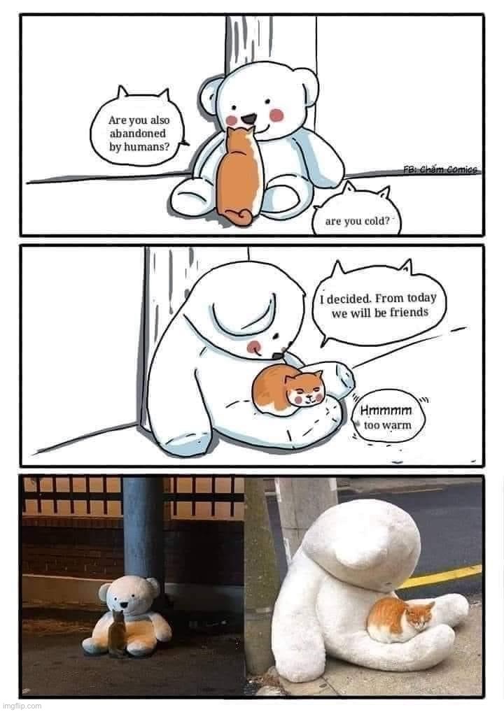 are you abandoned? Find an abandoned friend :) | image tagged in abandoned by humans,abandoned,repost,cats,warm,teddy bear | made w/ Imgflip meme maker