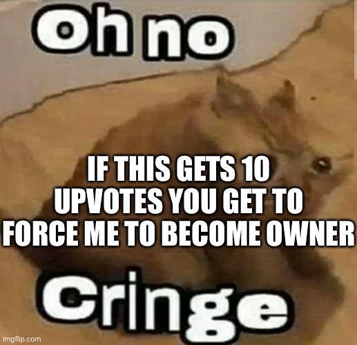 This post is pretty cringe (apply for*) | IF THIS GETS 10 UPVOTES YOU GET TO FORCE ME TO BECOME OWNER | made w/ Imgflip meme maker