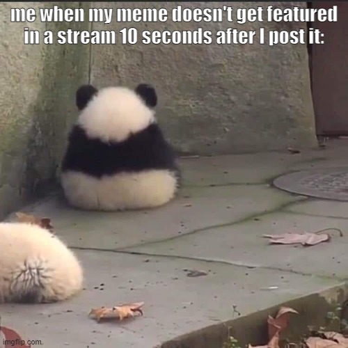 no talk me im angy | me when my meme doesn't get featured in a stream 10 seconds after I post it: | image tagged in no talk me im angy,angery,certified bruh moment,panda | made w/ Imgflip meme maker