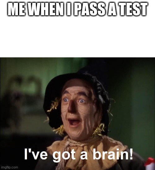 me when I pass a test | ME WHEN I PASS A TEST | image tagged in i've got a brain | made w/ Imgflip meme maker