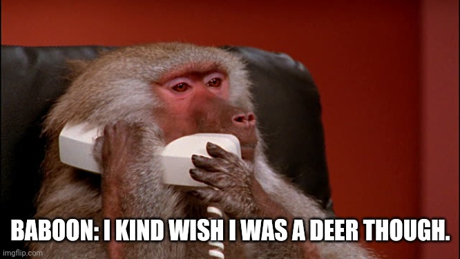 Baboon phone | BABOON: I KIND WISH I WAS A DEER THOUGH. | image tagged in baboon phone | made w/ Imgflip meme maker