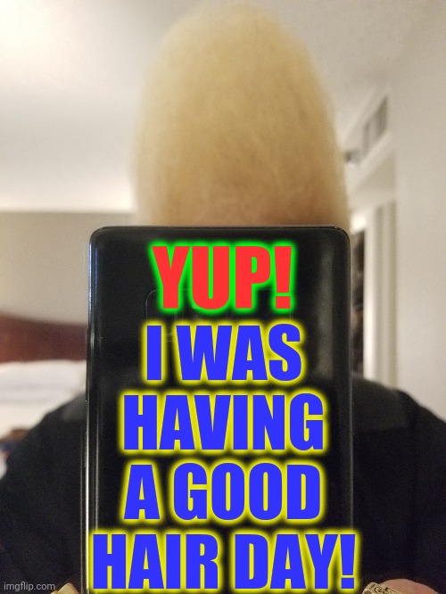 I WAS
HAVING
A GOOD
HAIR DAY! YUP! | made w/ Imgflip meme maker