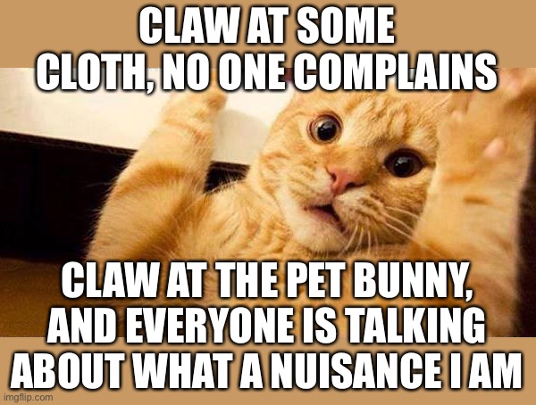well he’s not wrong lol | CLAW AT SOME CLOTH, NO ONE COMPLAINS; CLAW AT THE PET BUNNY, AND EVERYONE IS TALKING ABOUT WHAT A NUISANCE I AM | image tagged in cats,animals,bunny,funny,nuisance | made w/ Imgflip meme maker