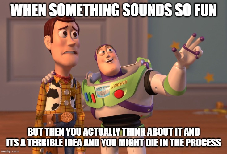 weird ideas | WHEN SOMETHING SOUNDS SO FUN; BUT THEN YOU ACTUALLY THINK ABOUT IT AND ITS A TERRIBLE IDEA AND YOU MIGHT DIE IN THE PROCESS | image tagged in memes,x x everywhere | made w/ Imgflip meme maker