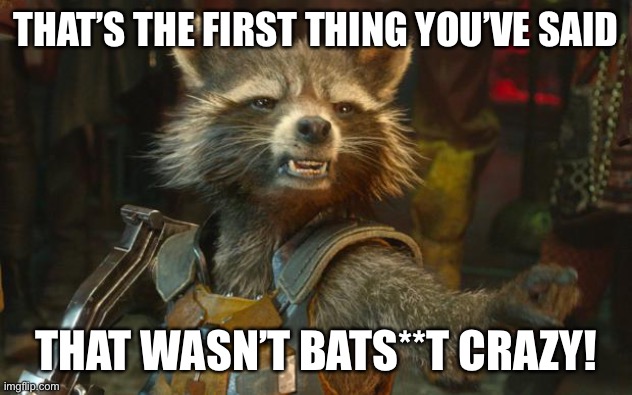 Rocket Raccoon | THAT’S THE FIRST THING YOU’VE SAID THAT WASN’T BATS**T CRAZY! | image tagged in rocket raccoon | made w/ Imgflip meme maker