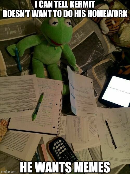 Poor Kermit | I CAN TELL KERMIT DOESN'T WANT TO DO HIS HOMEWORK; HE WANTS MEMES | made w/ Imgflip meme maker
