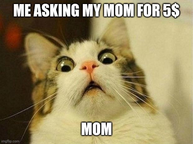 Scared Cat Meme | ME ASKING MY MOM FOR 5$; MOM | image tagged in memes,scared cat | made w/ Imgflip meme maker