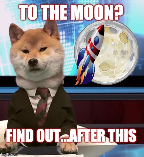 DOGE News Desk...To the Moon? | TO THE MOON? FIND OUT...AFTER THIS | image tagged in doge,dogecoin,shiba inu,breaking news | made w/ Imgflip meme maker