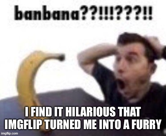 lmao | I FIND IT HILARIOUS THAT IMGFLIP TURNED ME INTO A FURRY | image tagged in banbana | made w/ Imgflip meme maker