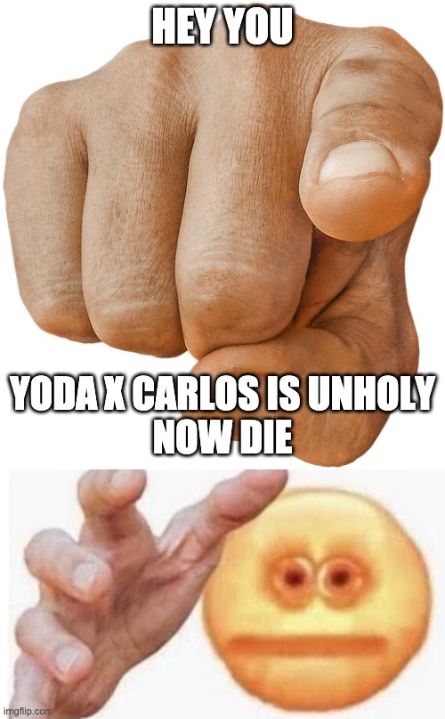 HEY YOU; YODA X CARLOS IS UNHOLY
NOW DIE | image tagged in pointing finger,vibe check | made w/ Imgflip meme maker