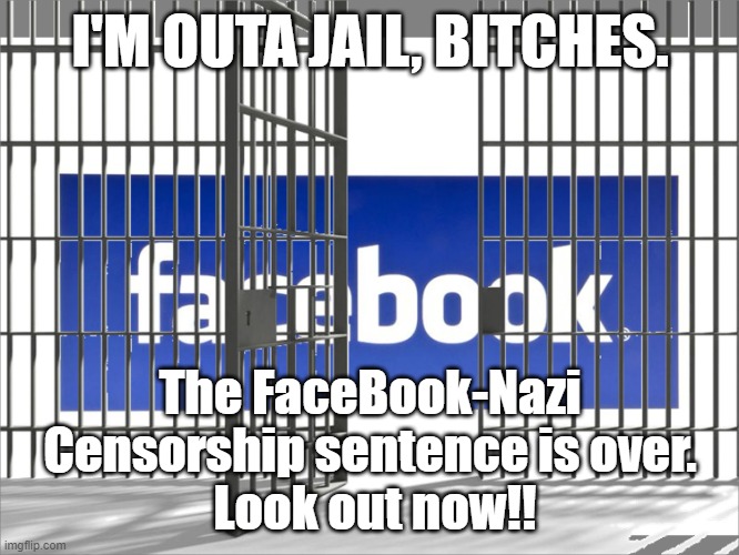 Out of Facebook Jail | I'M OUTA JAIL, BITCHES. The FaceBook-Nazi Censorship sentence is over.
 Look out now!! | image tagged in facebook jail,fakebook prison,facebook prison,nazi style censorship,censorship | made w/ Imgflip meme maker