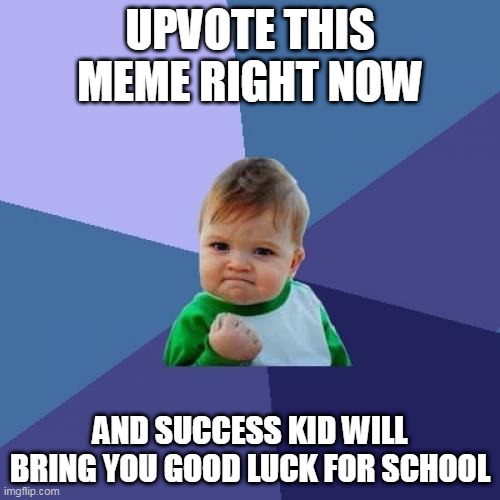 Success Kid | UPVOTE THIS MEME RIGHT NOW; AND SUCCESS KID WILL BRING YOU GOOD LUCK FOR SCHOOL | image tagged in memes,success kid | made w/ Imgflip meme maker