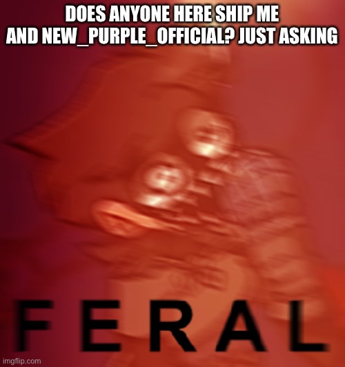 hmm | DOES ANYONE HERE SHIP ME AND NEW_PURPLE_OFFICIAL? JUST ASKING | image tagged in f e r a l | made w/ Imgflip meme maker