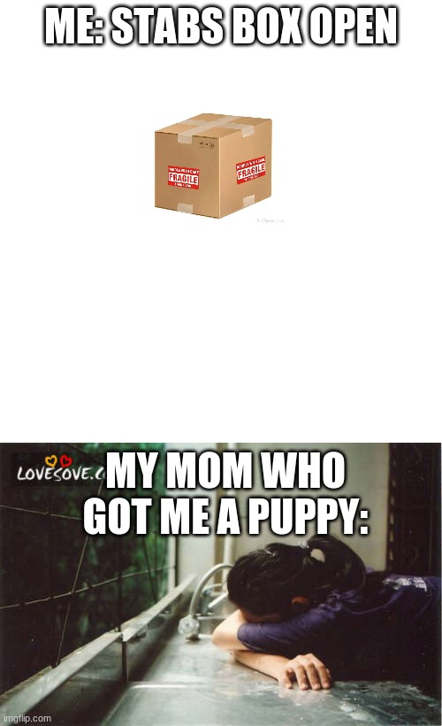 sad dark humor | ME: STABS BOX OPEN; MY MOM WHO GOT ME A PUPPY: | image tagged in memes,blank transparent square,that sad moment | made w/ Imgflip meme maker