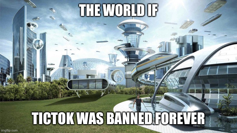Who else agrees tiktok shouldn’t exist? (Comment if you agree) | THE WORLD IF; TICTOK WAS BANNED FOREVER | image tagged in the future world if | made w/ Imgflip meme maker