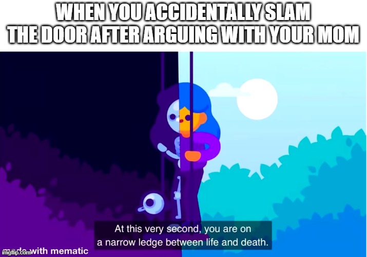 You are about to die | WHEN YOU ACCIDENTALLY SLAM THE DOOR AFTER ARGUING WITH YOUR MOM | image tagged in life and death | made w/ Imgflip meme maker