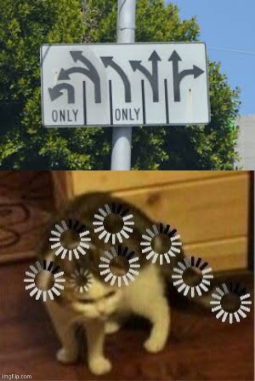 image tagged in super confused cat | made w/ Imgflip meme maker