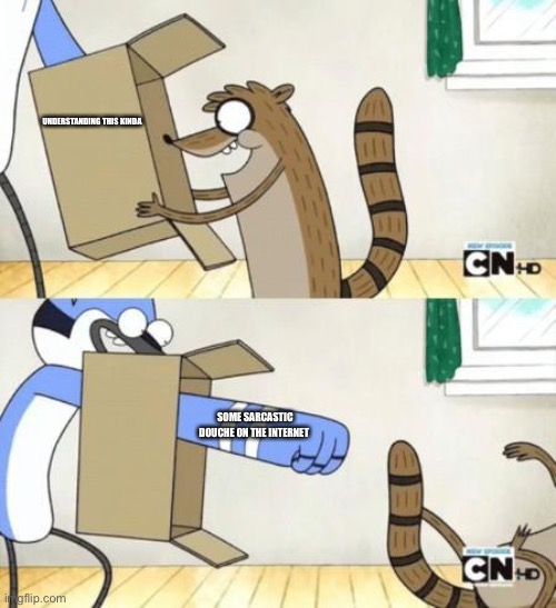 Mordecai Punches Rigby Through a Box | UNDERSTANDING THIS KINDA; SOME SARCASTIC DOUCHE ON THE INTERNET | image tagged in mordecai punches rigby through a box | made w/ Imgflip meme maker