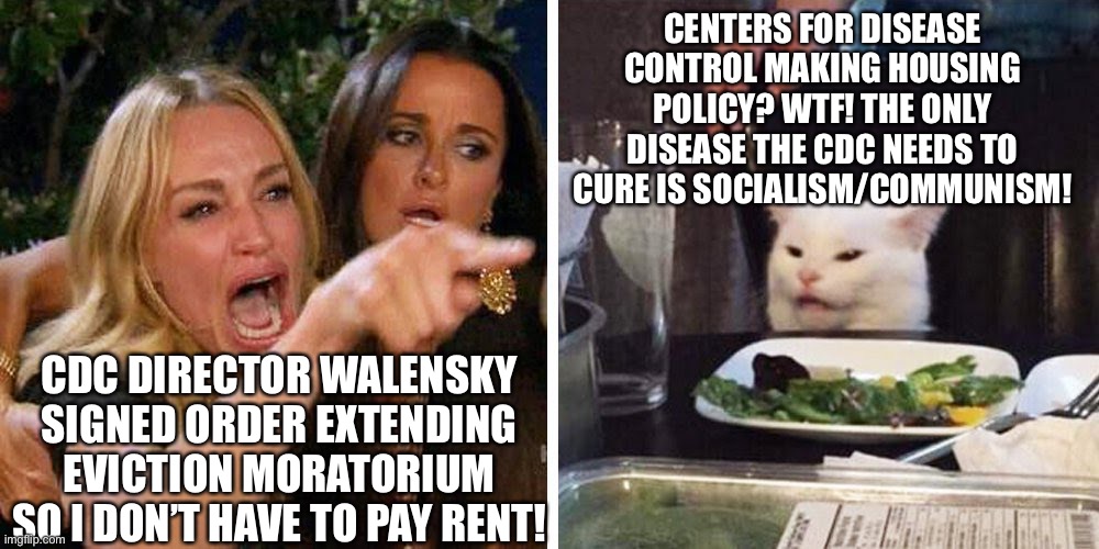 CDC In Charge Of Housing Policy? | CENTERS FOR DISEASE CONTROL MAKING HOUSING POLICY? WTF! THE ONLY DISEASE THE CDC NEEDS TO CURE IS SOCIALISM/COMMUNISM! CDC DIRECTOR WALENSKY SIGNED ORDER EXTENDING EVICTION MORATORIUM SO I DON’T HAVE TO PAY RENT! | image tagged in smudge the cat,cdc overstepping,cdc eviction moratorium,socialism disease | made w/ Imgflip meme maker