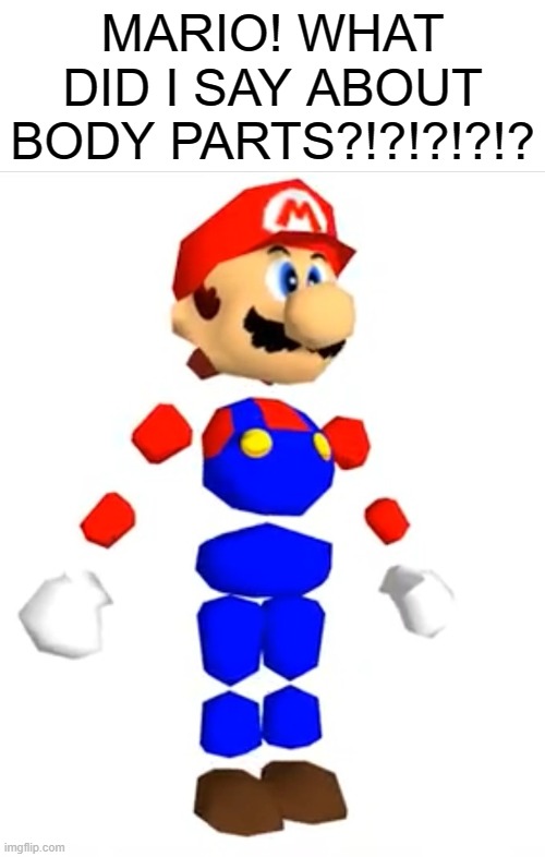 Mario 64 body parts | MARIO! WHAT DID I SAY ABOUT BODY PARTS?!?!?!?!? | made w/ Imgflip meme maker