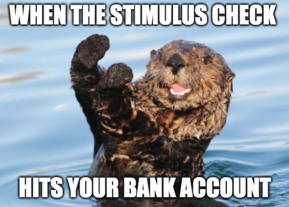 otter celebration | WHEN THE STIMULUS CHECK; HITS YOUR BANK ACCOUNT | image tagged in otter celebration | made w/ Imgflip meme maker