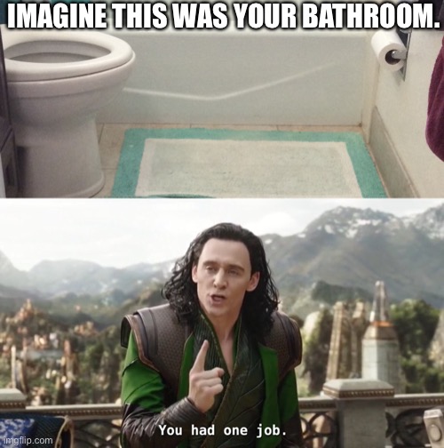 IMAGINE THIS WAS YOUR BATHROOM. | image tagged in task failed successfully,funny,you had one job | made w/ Imgflip meme maker