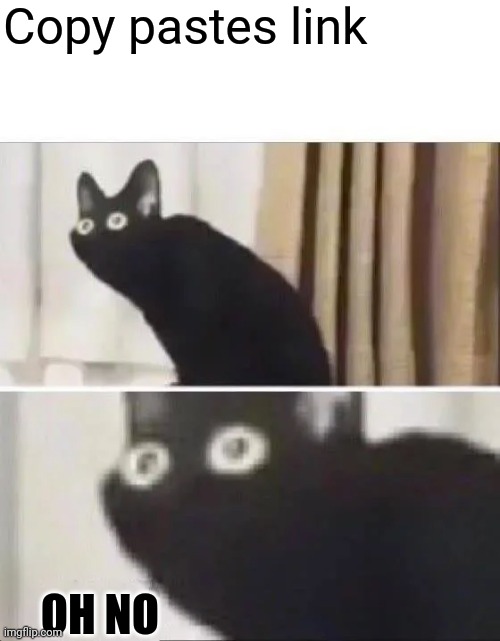 Oh No Black Cat | Copy pastes link OH NO | image tagged in oh no black cat | made w/ Imgflip meme maker