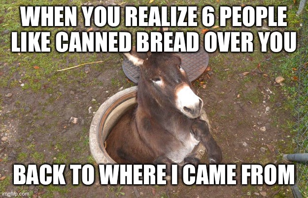 back to my hole horse | WHEN YOU REALIZE 6 PEOPLE LIKE CANNED BREAD OVER YOU; BACK TO WHERE I CAME FROM | image tagged in back to my hole horse | made w/ Imgflip meme maker