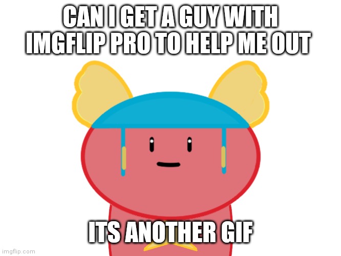 Bwuh | CAN I GET A GUY WITH IMGFLIP PRO TO HELP ME OUT; ITS ANOTHER GIF | image tagged in damn bro | made w/ Imgflip meme maker